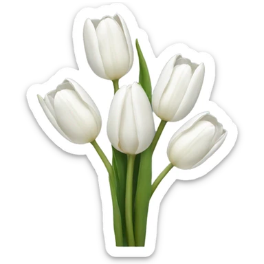 white tulips sticker