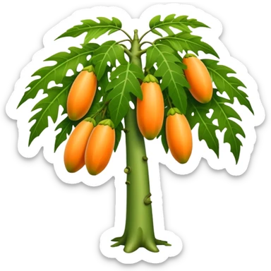 Papaya tree sticker