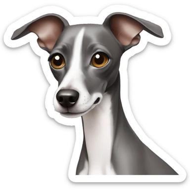 Italian greyhound sticker