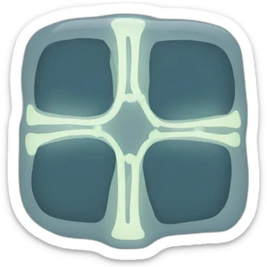 X rays sticker