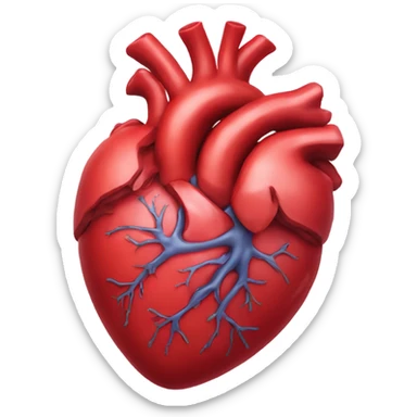 Anatomical heart sticker