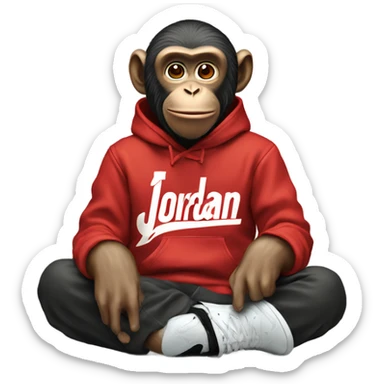 A monkey with supreme sweatshirt and Jordan’s  sticker