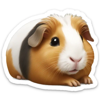 Guineapig laying down very cute but realistic sticker