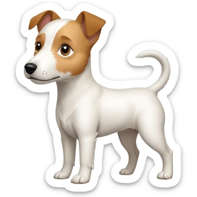 a full body slightly chubby white parson russell terrier looking dog the size of a kelpie with light brown long ears and a light brown patch on one eye and a large snout. the rest of the dog is completely whiteforward facing sticker