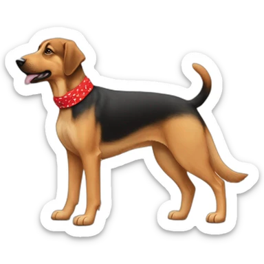 65% Coonhound 35% German Shepherd mix dog wearing small plain red bandana walking left sticker