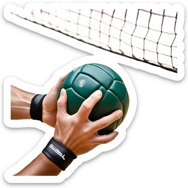 A close-up of a hand gripping a handball, with the handball gates visible in the background. The focus is on the texture of the ball and the strength of the grip, with the goal net slightly blurred to emphasize the anticipation of the throw. sticker