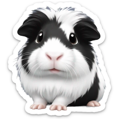 Long haired black and white guinea pig baby sticker