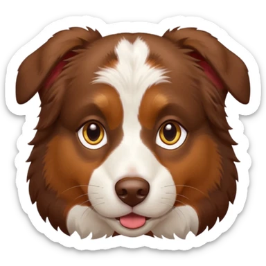 A tri color Australian shepherd with a chocolate brown base coat, red/gold fur on his eyebrows and snout/cheeks, a white chest, and gold eyes. No white fur on his face, only brown and gold. sticker