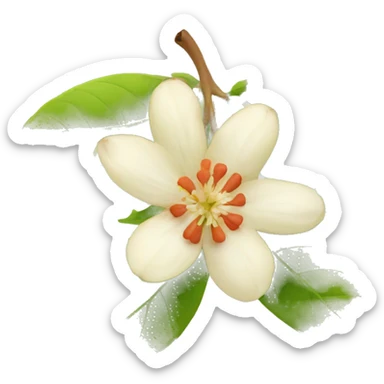 Apple Emoji ashwagandha with flower  sticker