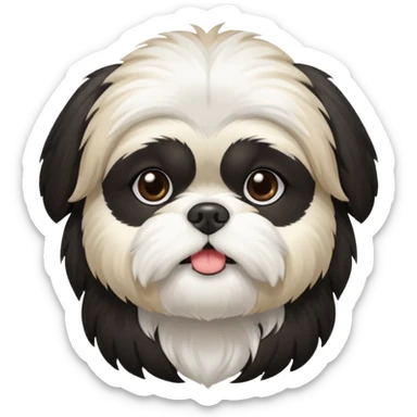Black and white shih tzu

 sticker