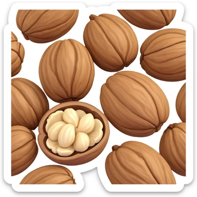 large walnut kernel, realistic sticker