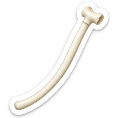 singular long bone sticker