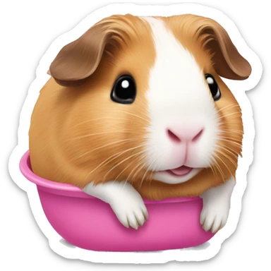 Guineapig in a pink hammoc sticker