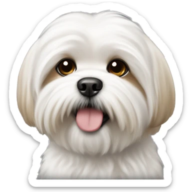 White fluffy fluffy dog with light brown spot Maltese shih tzu sticker