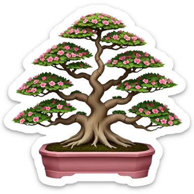 Wide Three 7-tiered bonsai stand, shelving nine maple specimens and several smaller azaleas, frame made of oaken palette wood  sticker