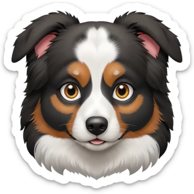 cute black and white Australian Shepherd face sticker
