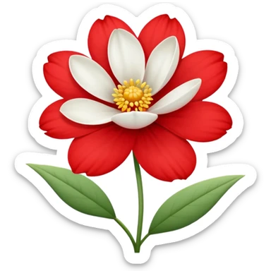 one red flower and one white flower with red band sticker
