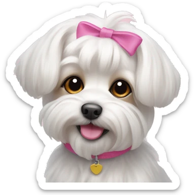 small dog maltese lapdog with long ears and tail with pink elastic band  sticker