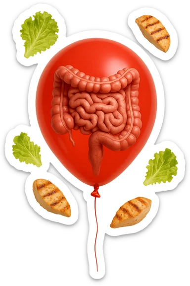 intestino anatomico realistico chiuso in un palloncino rosso e foglie di insalata e petto di pollo grigliato che fluttuano intorno sticker