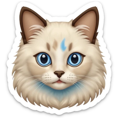 Ragdoll cat, with dark brown nose/center face area with surrounding beige fur, bright blue eyes sticker