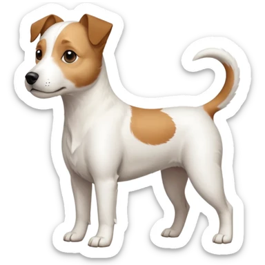 a full body slightly chubby white parson russell terrier looking dog the size of a kelpie with light brown long ears and a light brown patch on one eye and a large snout. the rest of the dog is completely white sticker