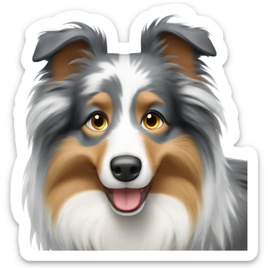 Blue Merle Shetland sheepdog sticker