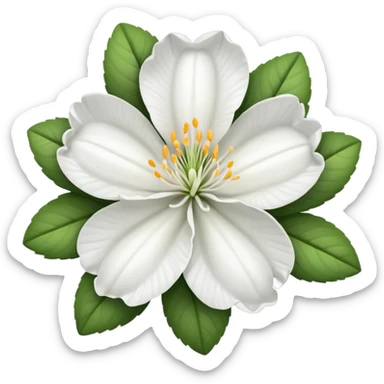 the white  azalea flower sticker