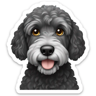 A black golden doodle dog with gray muzzle sticker