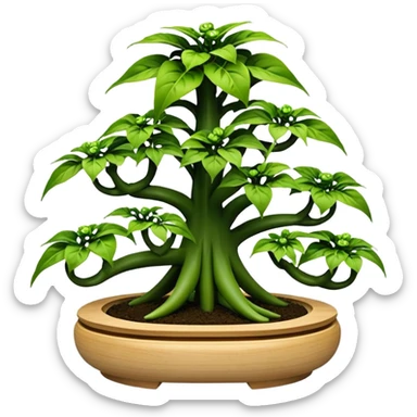 Very Large decorative alien-futuristic multi-tier multi-level photo-efficient plant rack, which holds bonsai pepper plants, constructed from plywood sticker