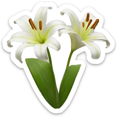 Slider lilies sticker