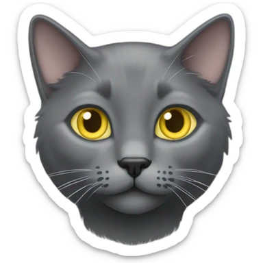 cuddly fluffy grey korat breed cat with yellow eyes black pupils, walking and playing female sticker