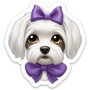 Maltese dog, black iris, dark iris of the eyes, female with a hair bow sticker