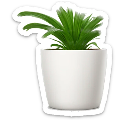 a spider plant in a white plant pot sticker
