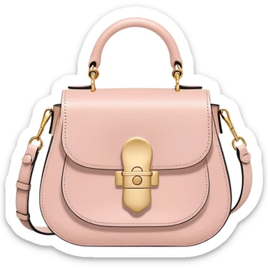 A powder pink Chloe bag, cute sticker