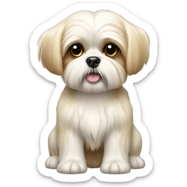 A maltese-shitzoo breed dog, tiny dog with short stubby legs, white/cream color with tan spots sticker