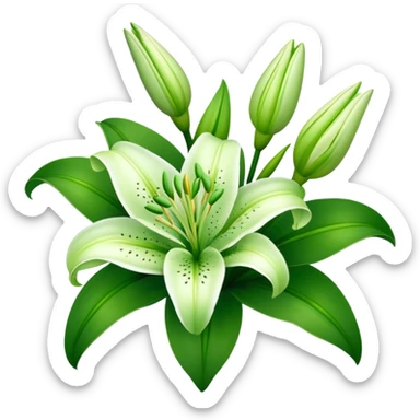 bouquet Soft Green Lily, luxuriant, leaf, bud sticker