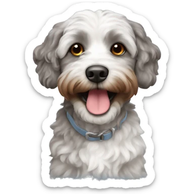 Cute grey and white Havapoo with brown mouth sticker