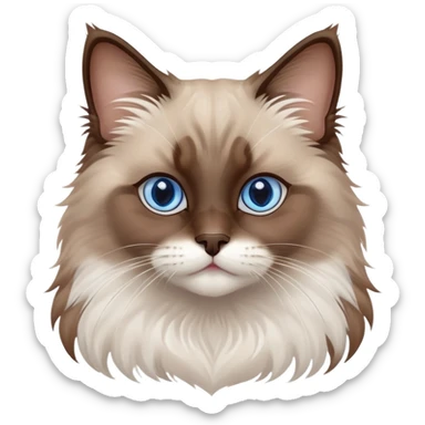 cinematic-fluffy-brown-ragdoll-cat-portrait-emoji,-head-tilted-cutely-with-big,-sparkling-blue-eyes,-soft-brown-and white-colored-fur-with-darker-points-on-the-ears,-face,-and-paws,-simplified-yet-irresistibly-adorable-features, sticker