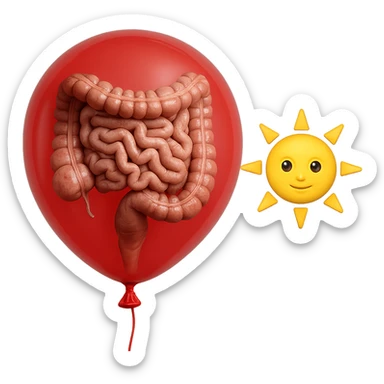 intestino umano anatomico chiuso in un palloncino rosso che simboleggia gonfiore, accanto un simbolo di sole stile emoji iphone che simboleggia "gonfiori di mattina", iperrealistico 4k sticker