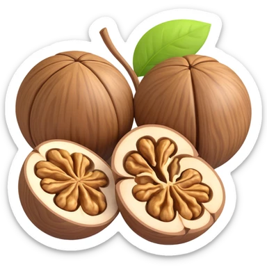 walnut without shell, realistic sticker