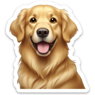 Golden retriever with big cute eyes  sticker