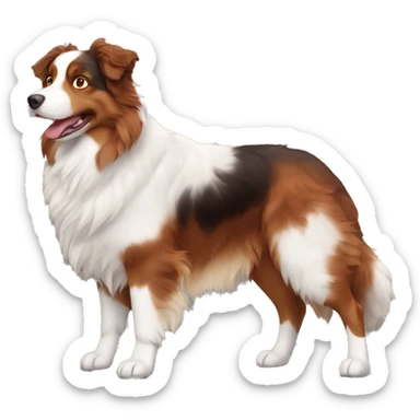 full body red tri australian shepherd sticker
