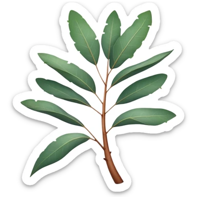 Cinematic Realistic Eucalyptus Emoji, Tall and graceful, with slender trunks covered in smooth, peeling bark and large, fragrant leaves. The eucalyptus trees sway gently in the breeze, releasing a calming aroma that fills the air. Soft glowing outline, capturing the essence of rugged beauty and natural serenity in a tall eucalyptus tree! sticker