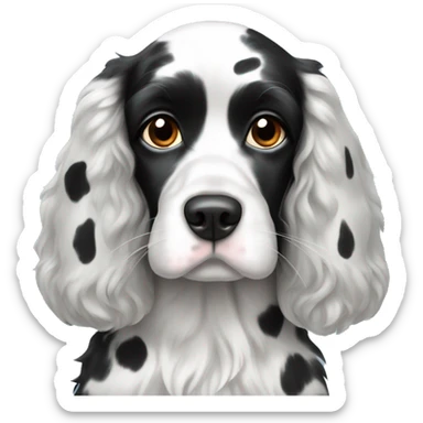 Black and white spotted cocker spaniel one blue eye sticker