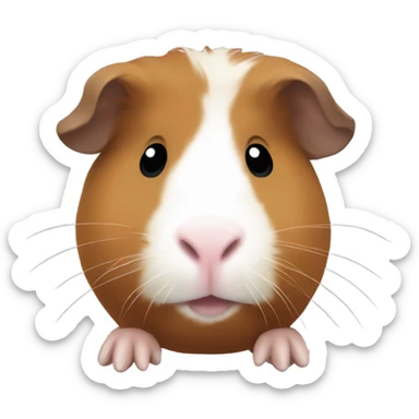 guineapig brown with a white nose sticker