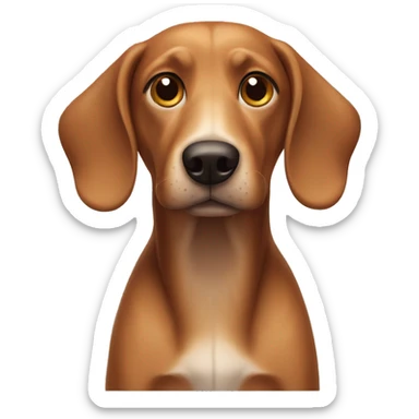 Weener dog sticker