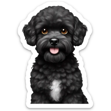 black Maltese poodle small sticker