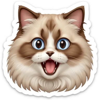 cinematic-adorable-big-eyed-fluffy-brown ragdoll-cat-portrait-emoji,-head-tilted-playfully-with-a-cute,-yawn,-white and brown fur,-simplified-yet-irresistibly-cute-features, blue eyes sticker