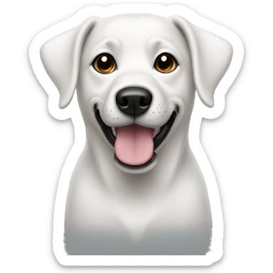 Dog white with black ear sticker