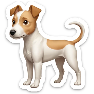 a full body facing front on of a buff white parson russell terrier looking dog the size of a kelpie with light brown long ears resting on its face and a light brown patch above one eye and a large snout. the rest of the dog is completely white.  sticker